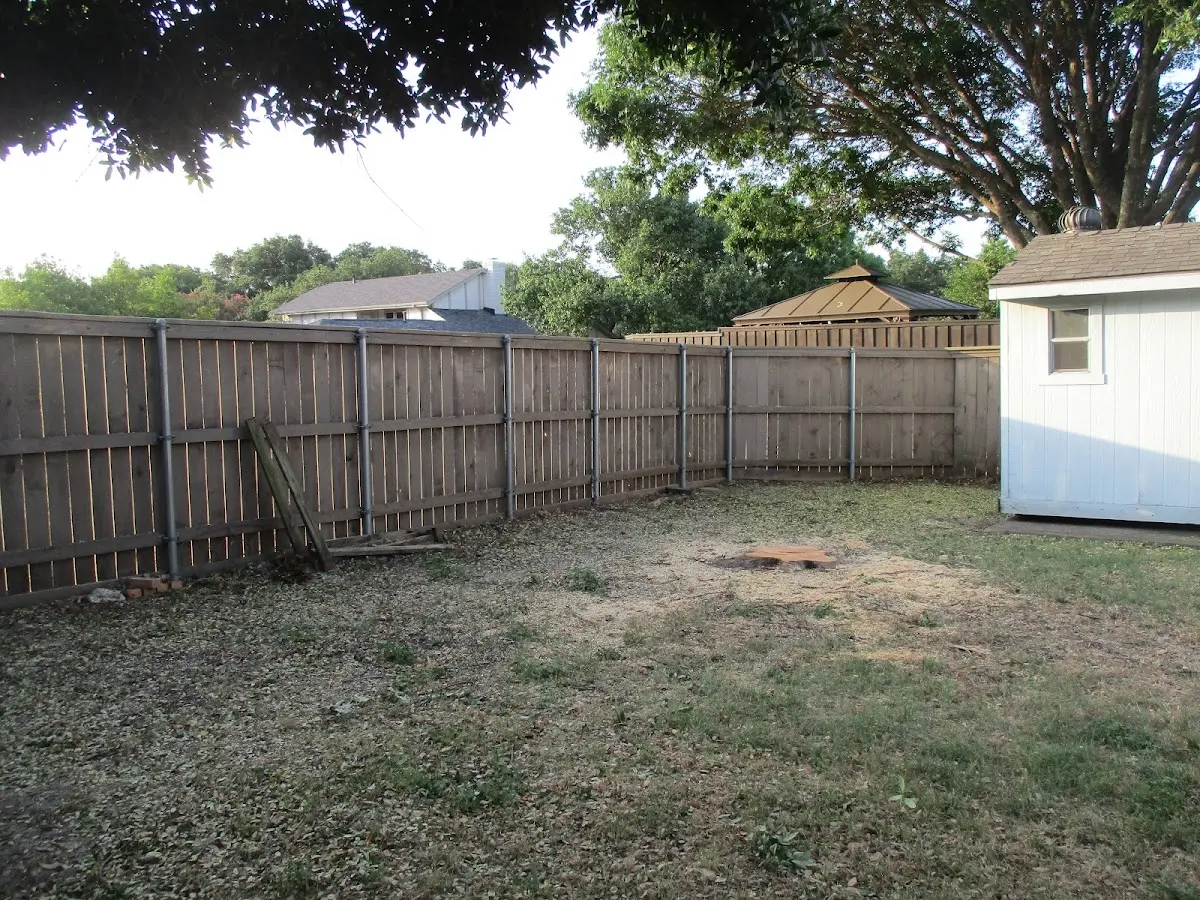 Cleared yard after professional tree removal in Pinesdale