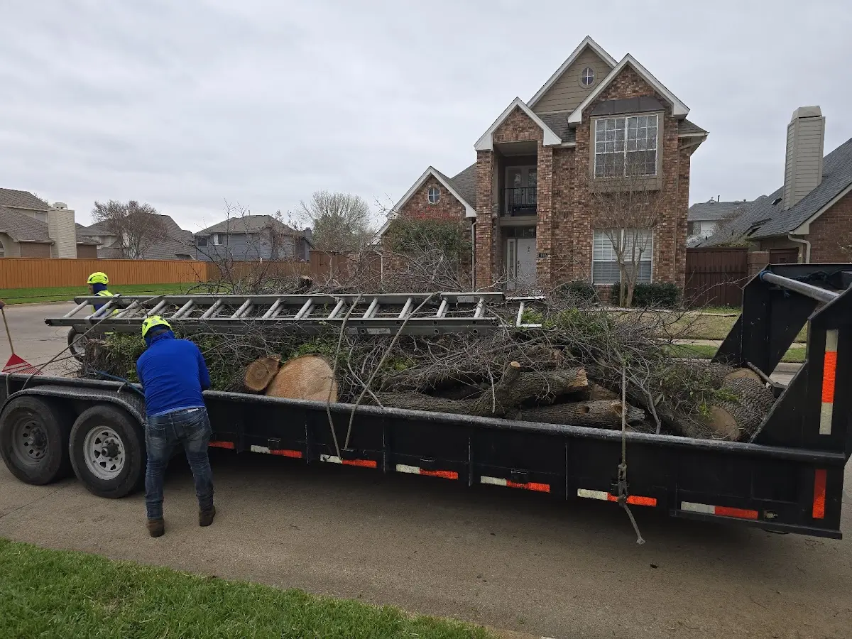 Expert Lot Clearing with proper safety equipment in Pinesdale